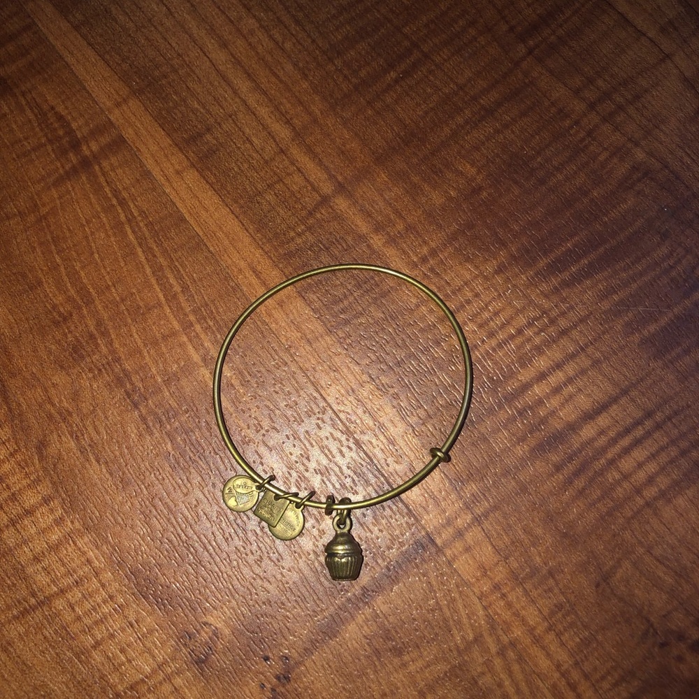 Cupcake Alex and Ani
